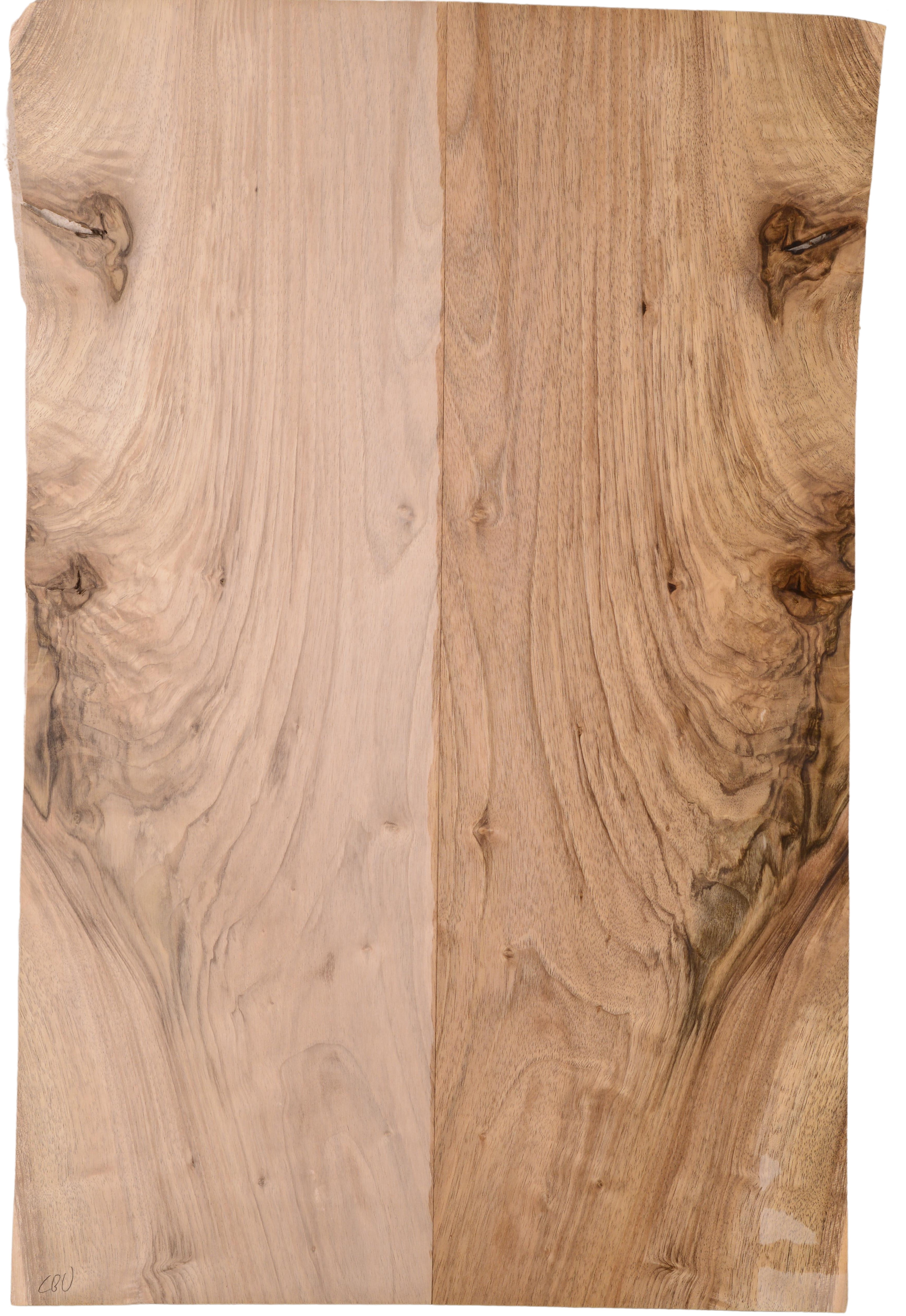Walnut (English) GuitarBack2pcATC L15769.G.025