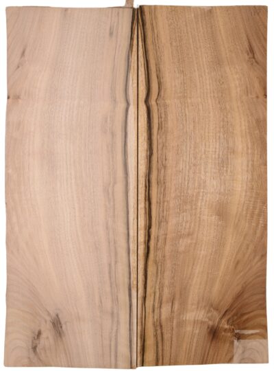 Walnut (English) GuitarBack2pcATC L15769.G.026