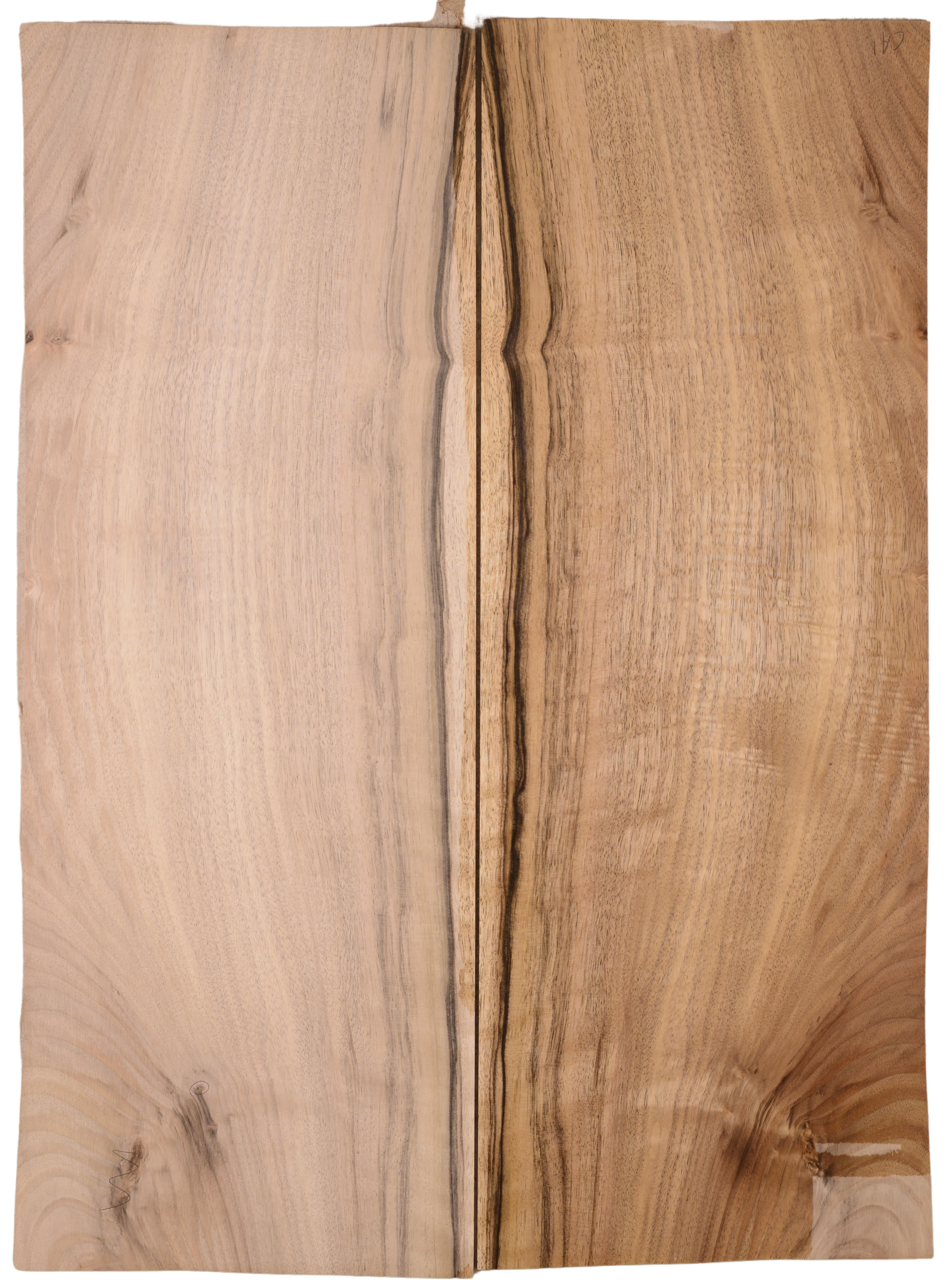 Walnut (English) GuitarBack2pcATC L15769.G.026