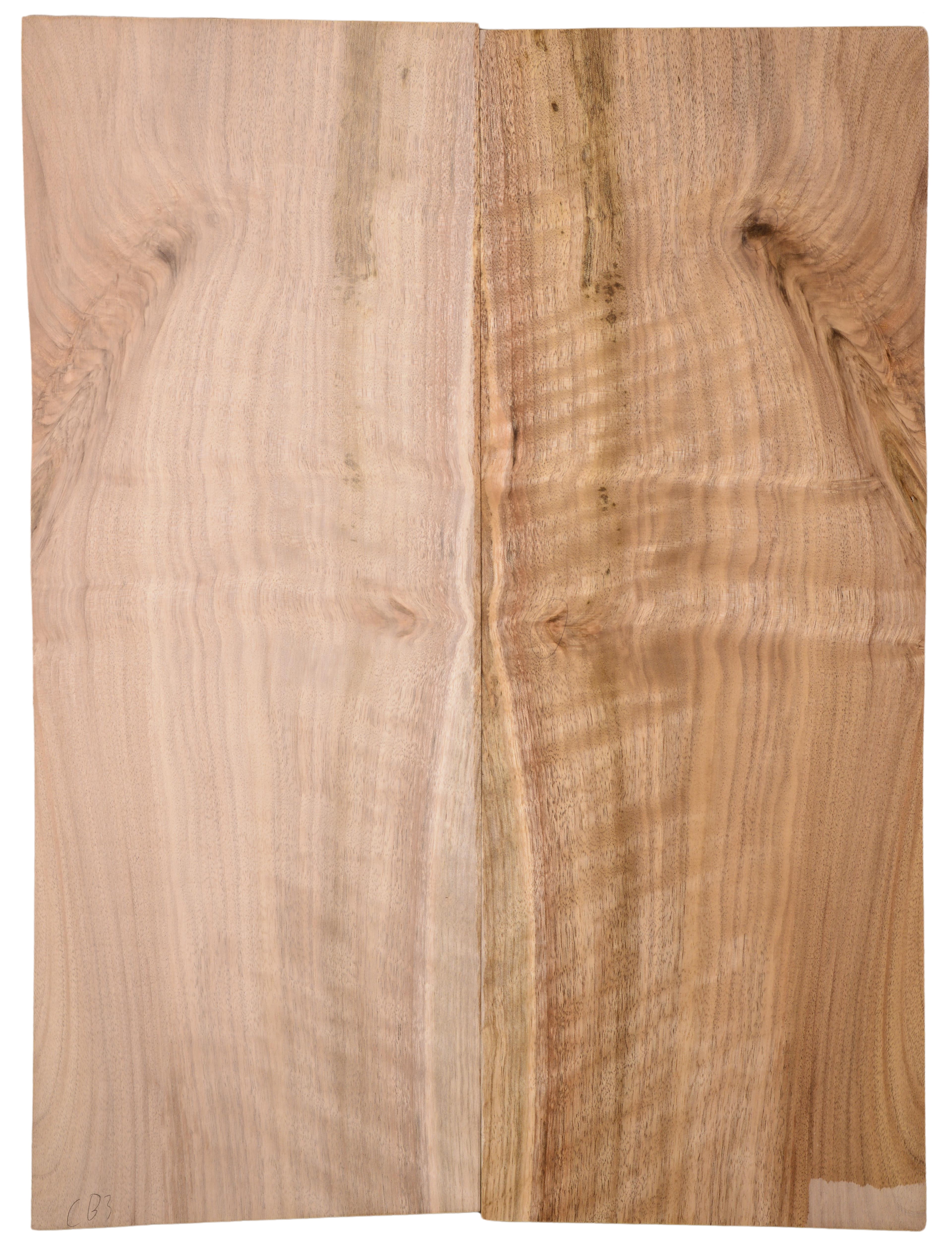 Walnut (English) GuitarBack2pcATC L15769.G.033