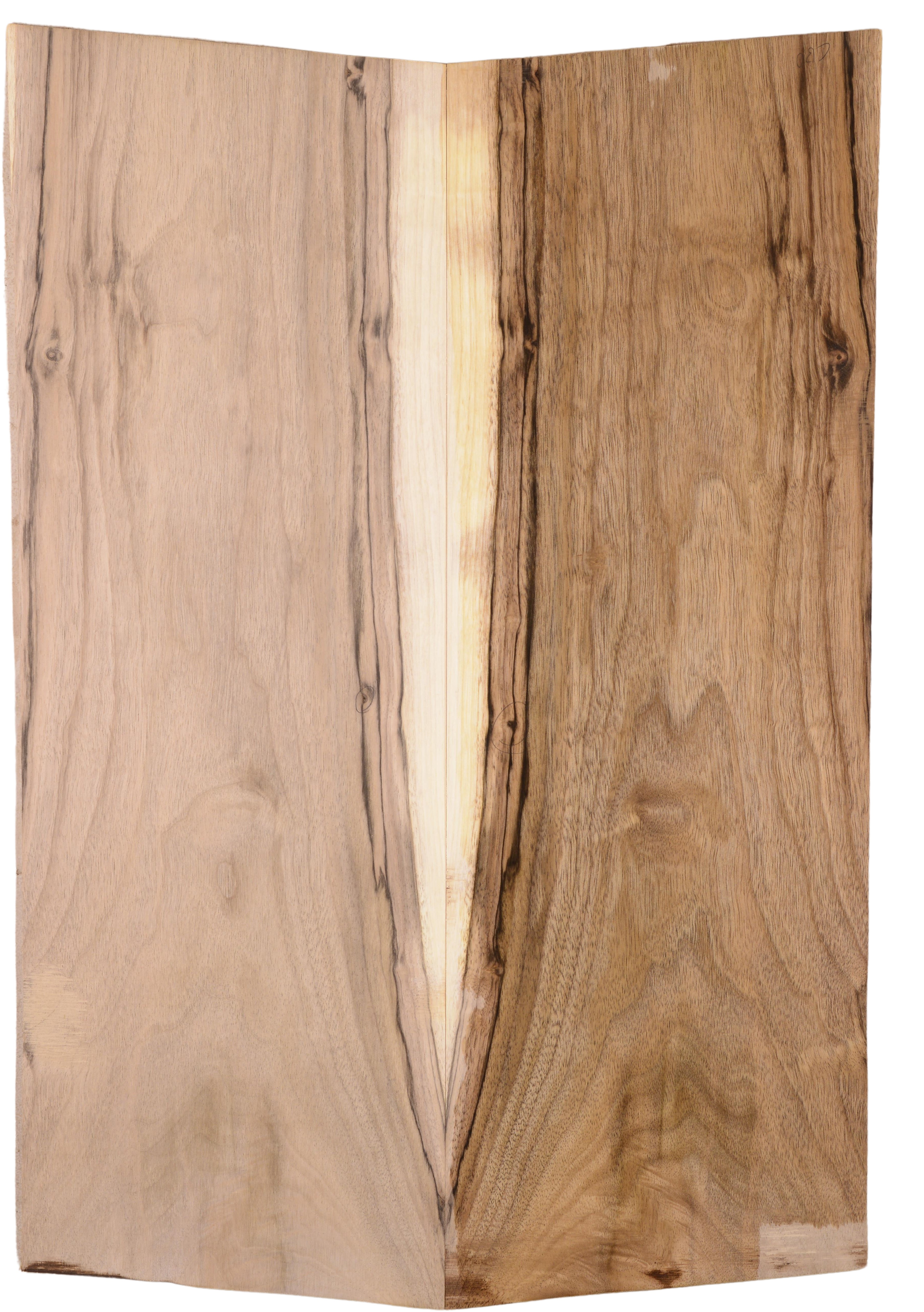Walnut (English) GuitarBack2pcATC L15769.G.037