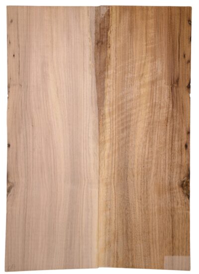 Walnut (English) GuitarBack2pcATC L15769.G.038