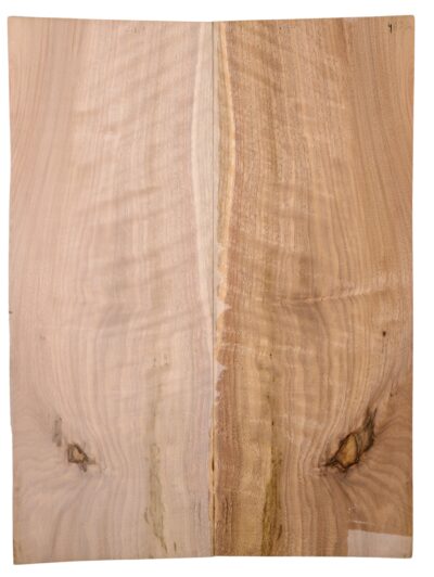 Walnut (English) GuitarBack2pcATC L15769.G.041