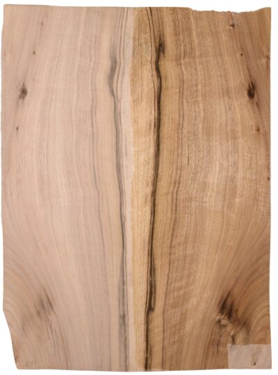 Walnut (English) GuitarBack2pcATC L15769.G.049