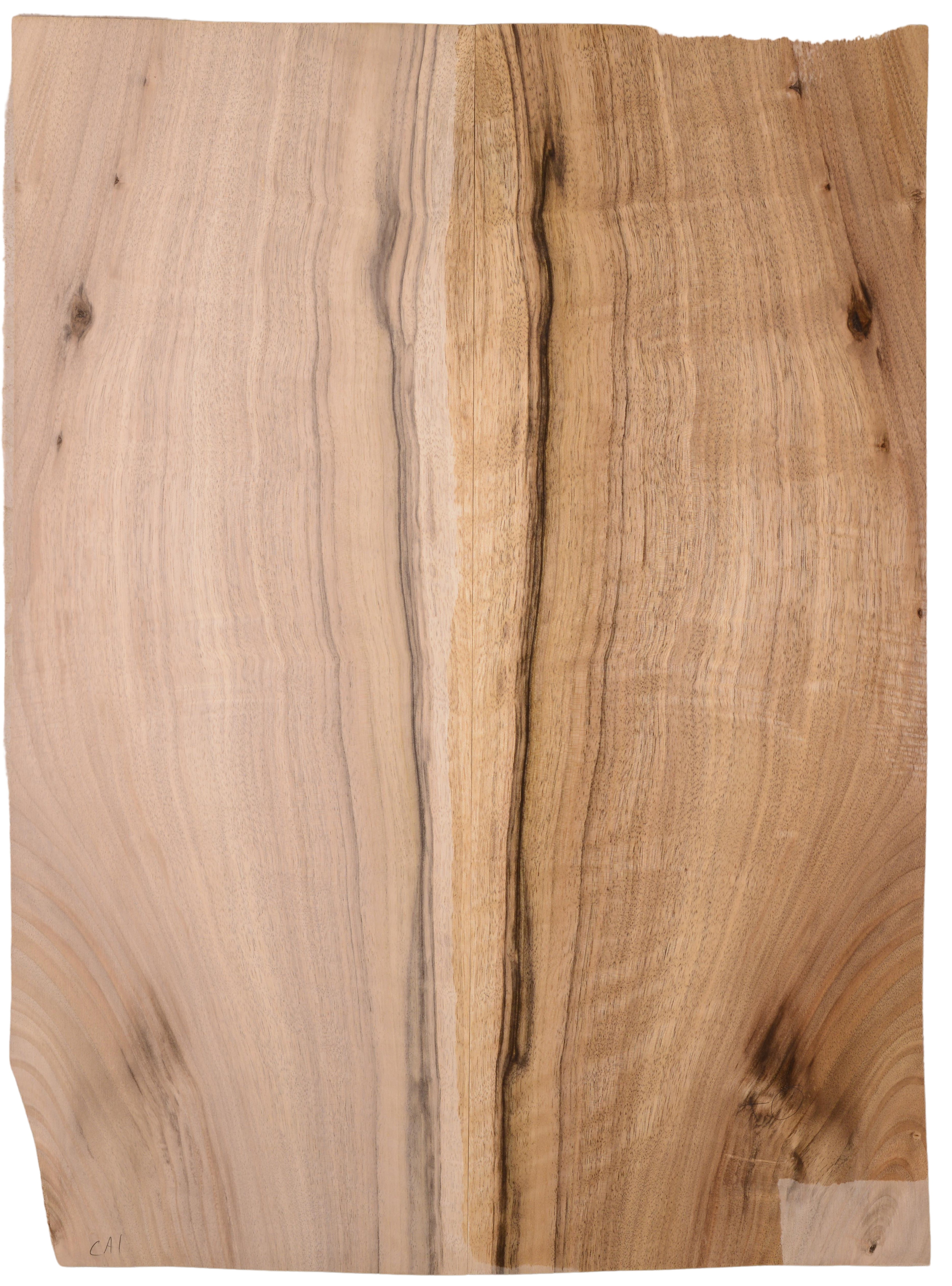 Walnut (English) GuitarBack2pcATC L15769.G.049