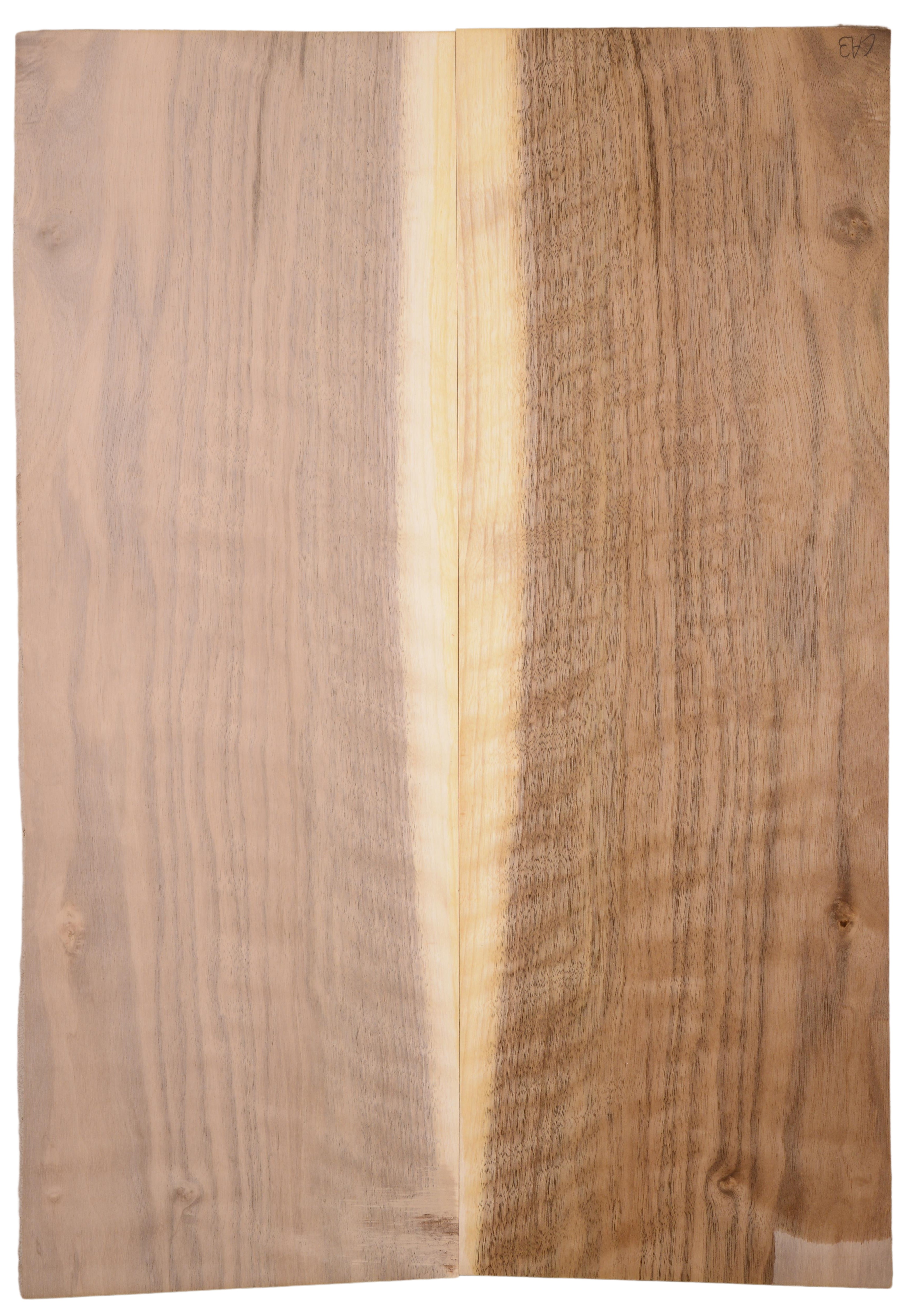Walnut (English) GuitarBack2pcATC L15769.G.052