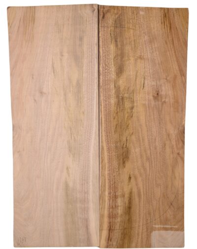 Walnut (English) GuitarBack2pcATC L15769.G.055