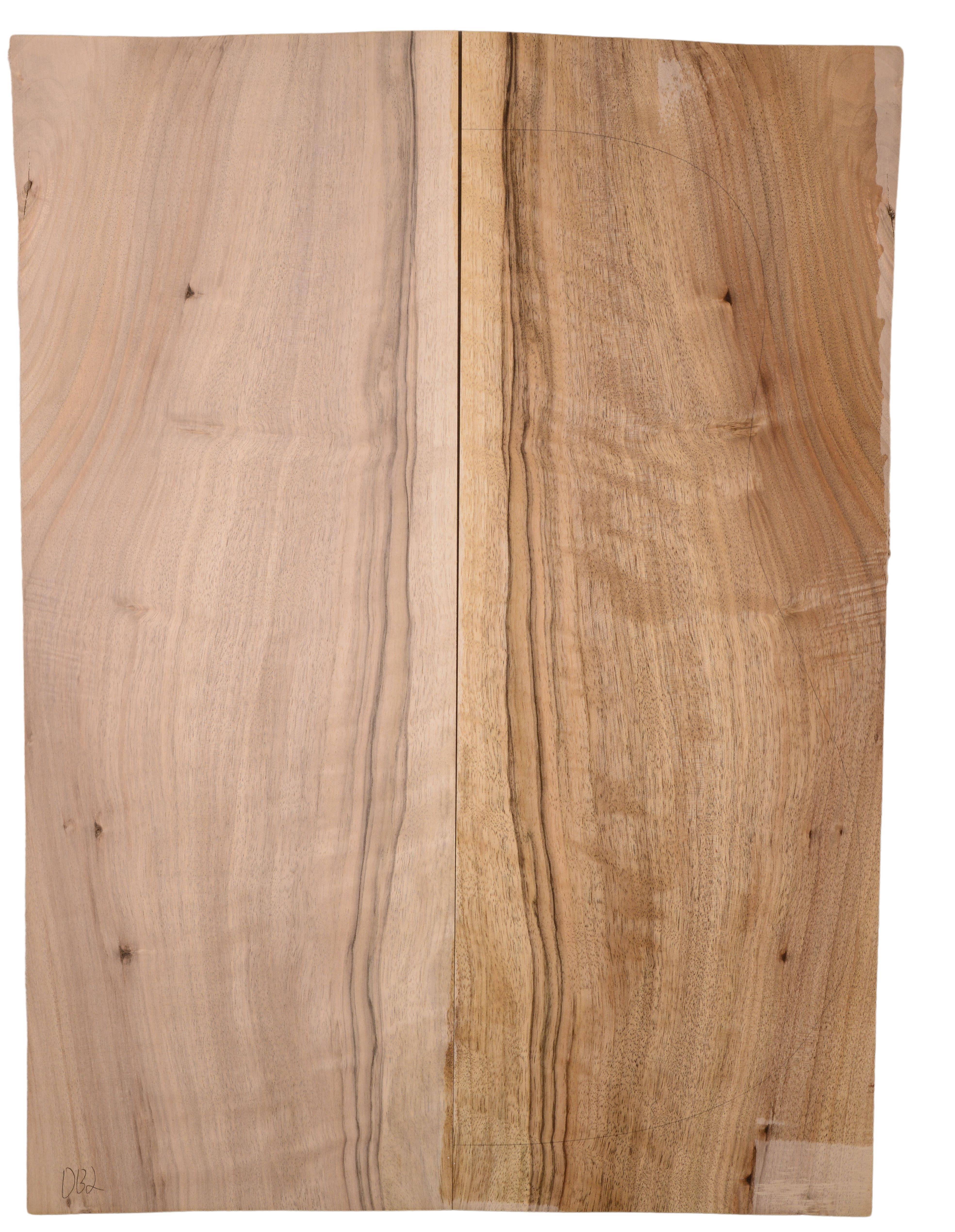 Walnut (English) GuitarBack2pcATC L15769.G.060