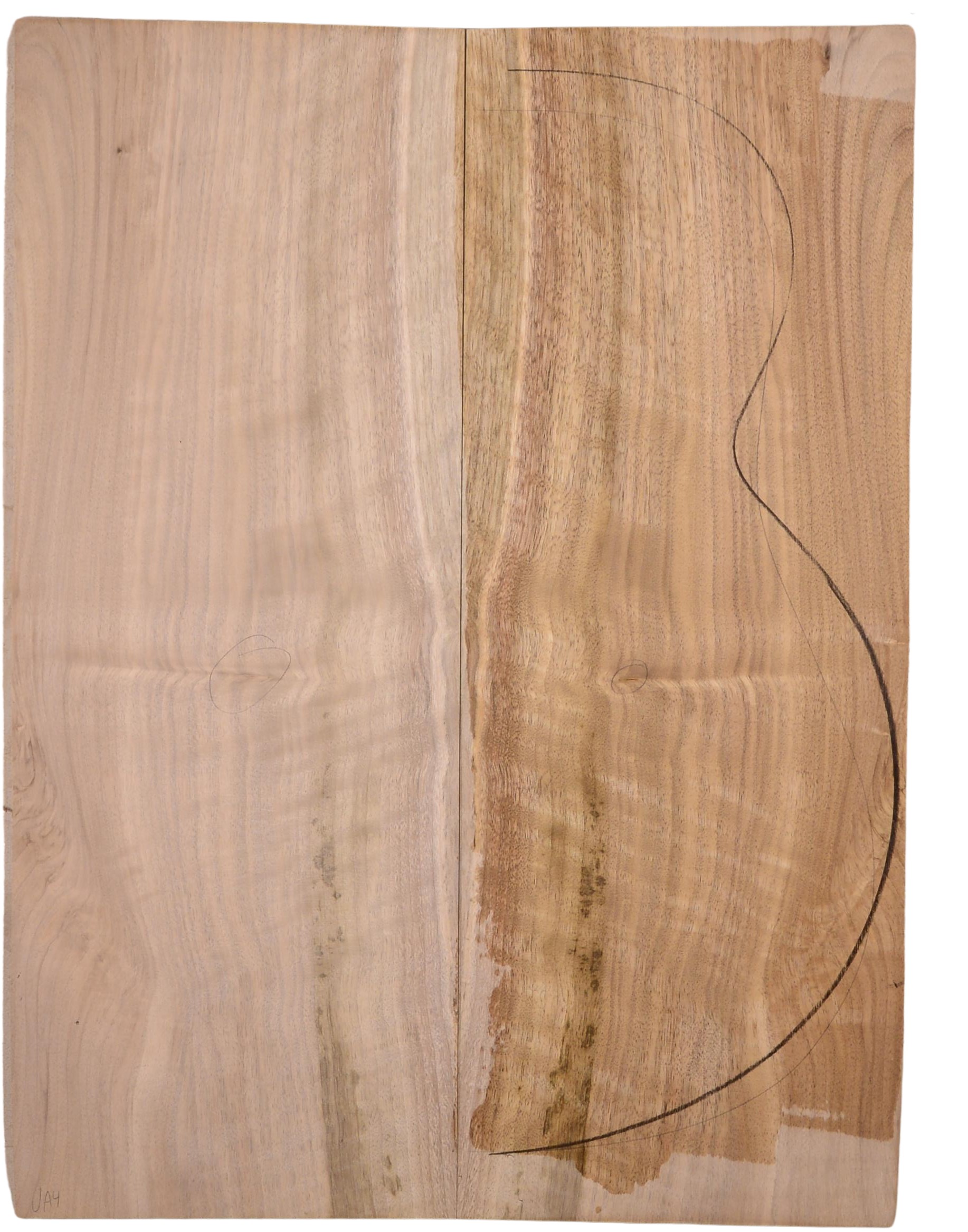 Walnut (English) GuitarBack2pcATC L15769.G.139