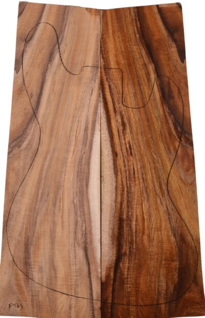 Koa GuitarSolidBodyTopATC L16973.G.030