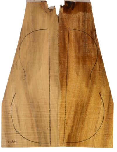 Koa UkeBack2pcATC L18534.G.279