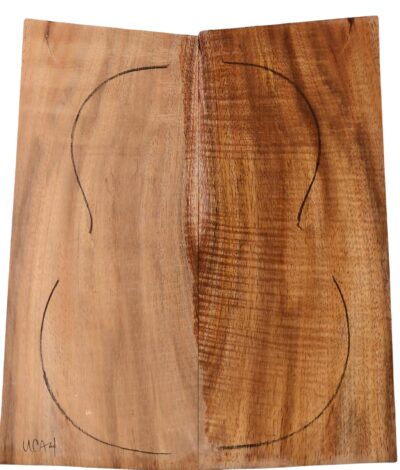 Koa UkeBack2pcATC L18534.G.280