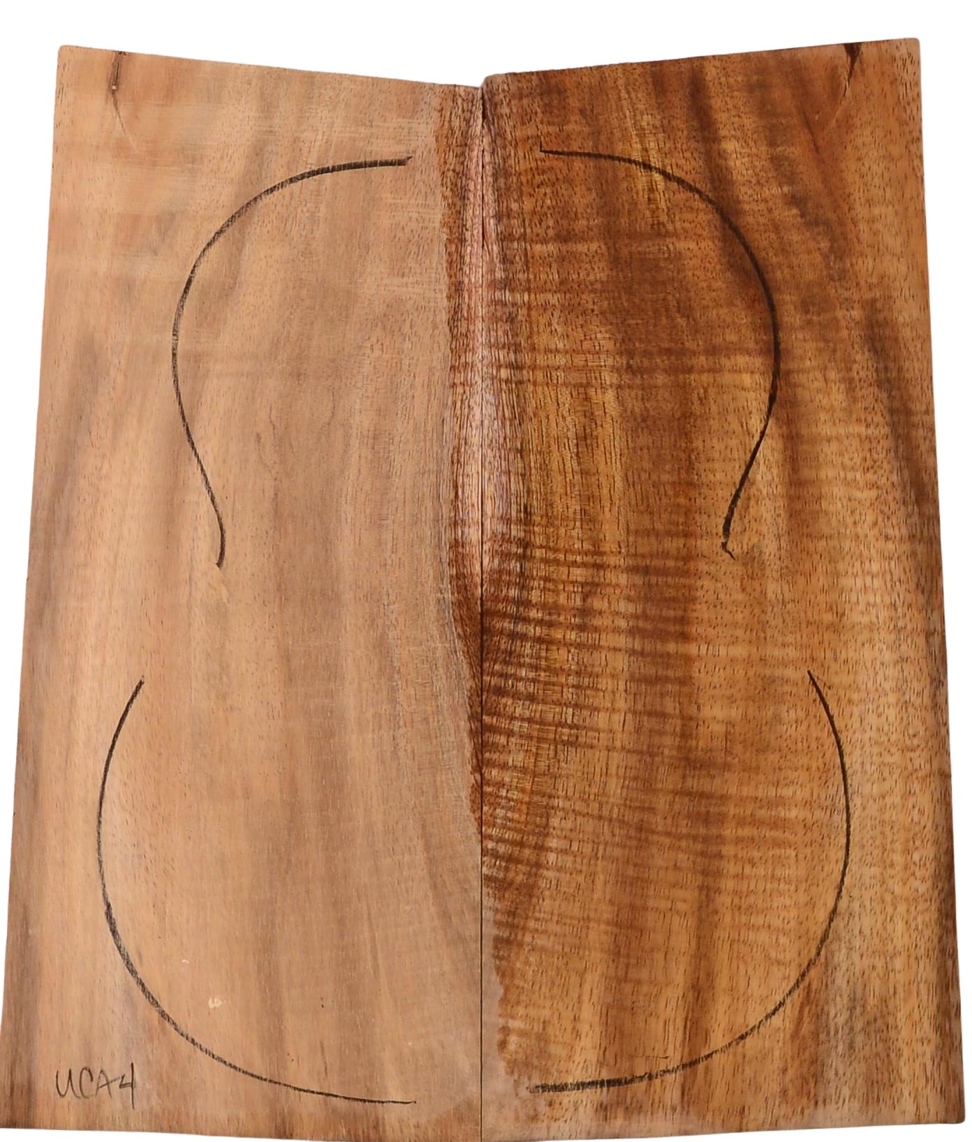 Koa UkeBack2pcATC L18534.G.280