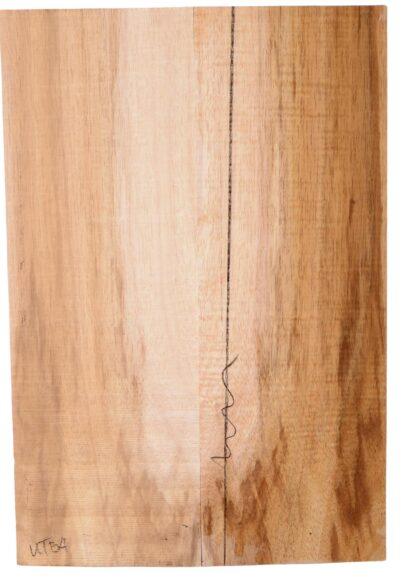 Koa UkeBack2pcATC L18534.G.299