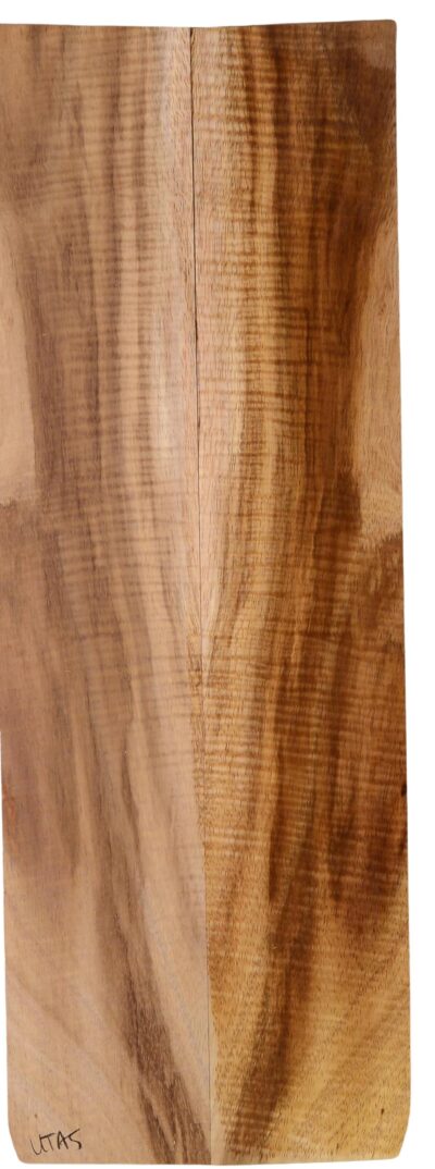 Koa UkeSides2pcATC L18534.G.320