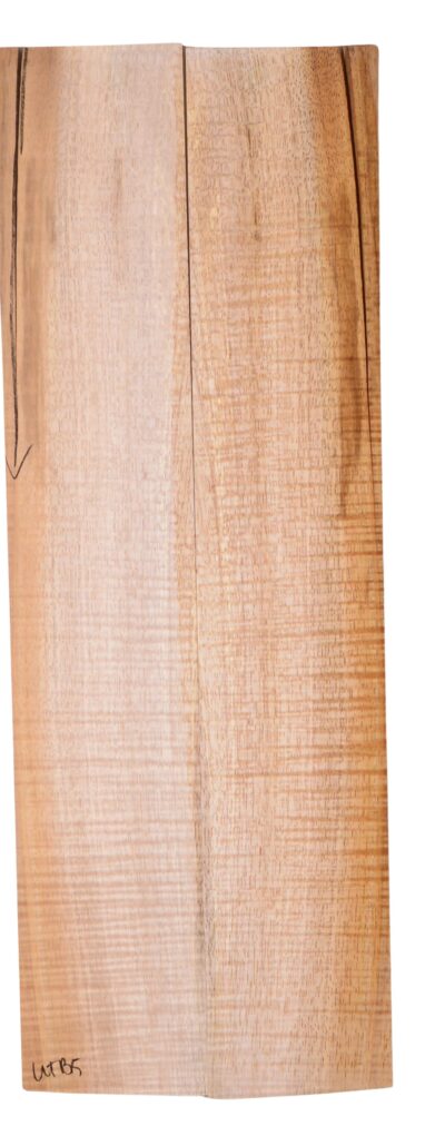 Koa UkeSides2pcATC L18534.G.348