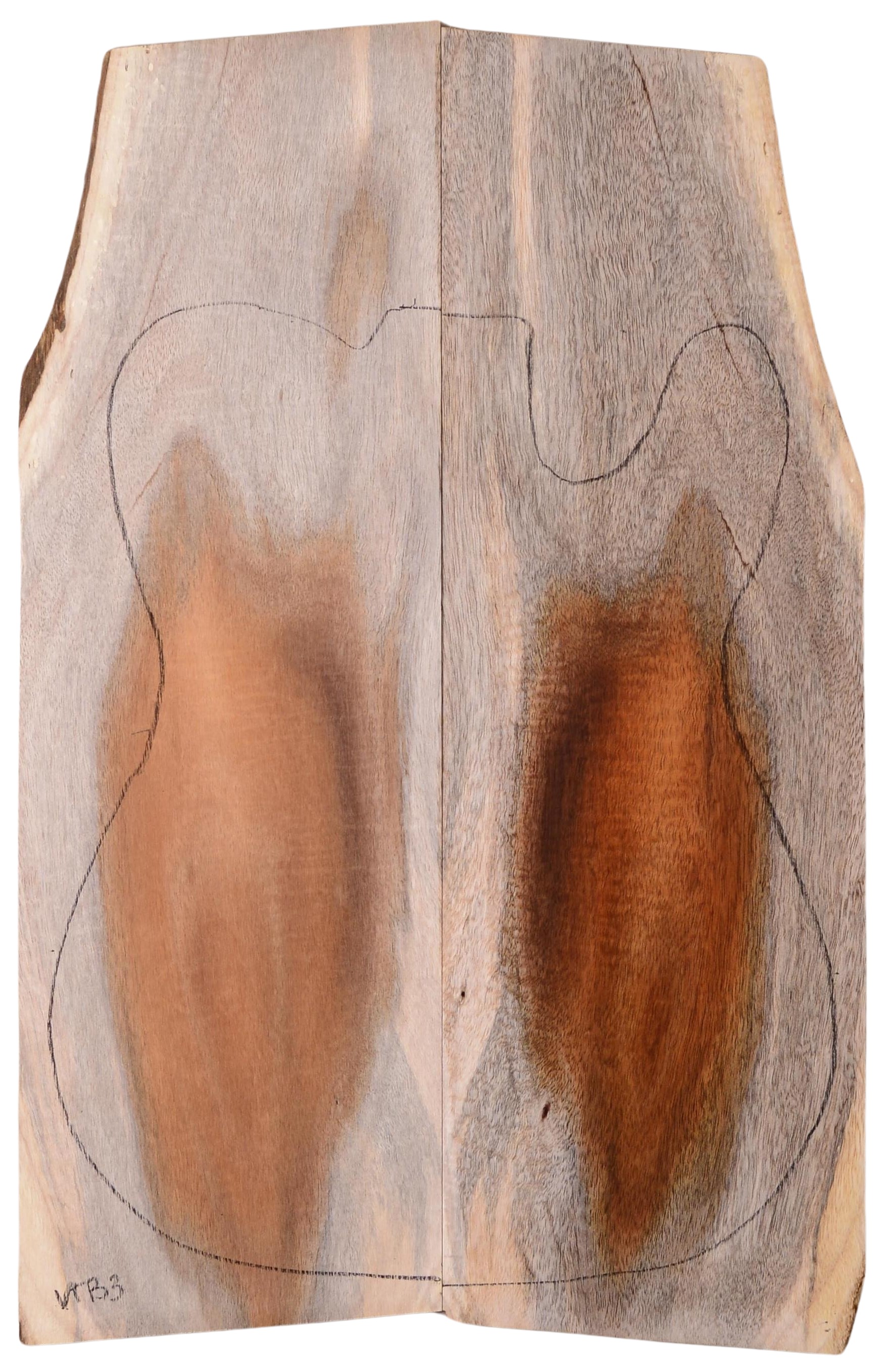 Koa GuitarSolidBodyTopATC L18534.G.360