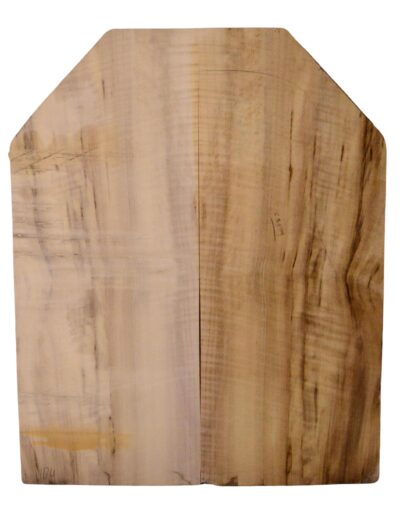 Myrtle (American) GuitarBack2pcATC L18938.G.065
