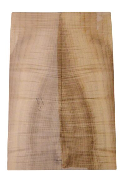Myrtle (American) UkeBack2pcATC L18938.G.150