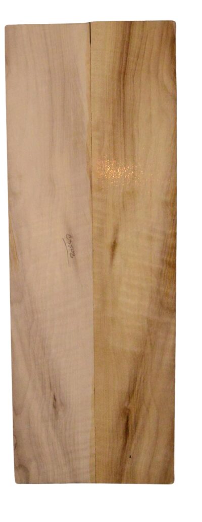 Myrtle (American) UkeSides2pcATC L18938.G.156