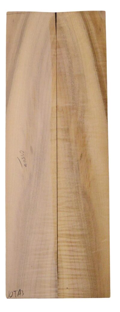 Myrtle (American) UkeSides2pcATC L18938.G.157