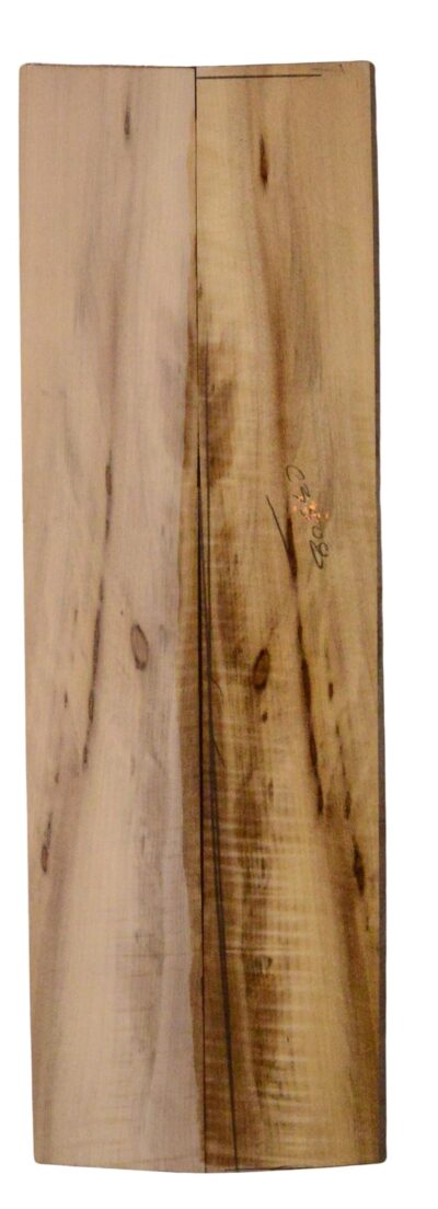 Myrtle (American) UkeSides2pcATC L18938.G.158