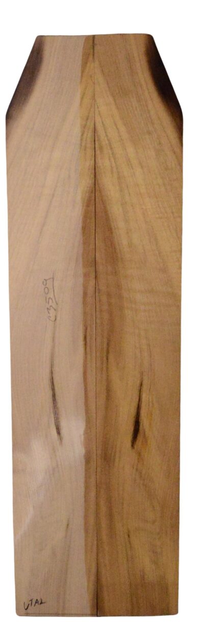 Myrtle (American) UkeSides2pcATC L18938.G.163