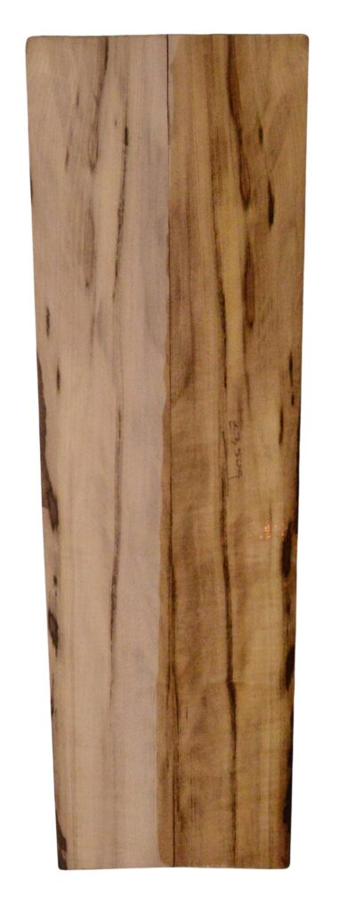 Myrtle (American) UkeSides2pcATC L18938.G.165