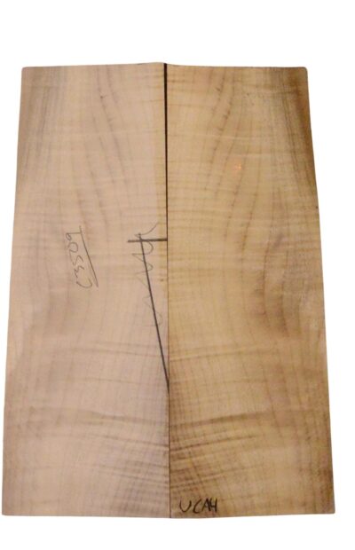 Myrtle (American) UkeBack2pcATC L18938.G.188