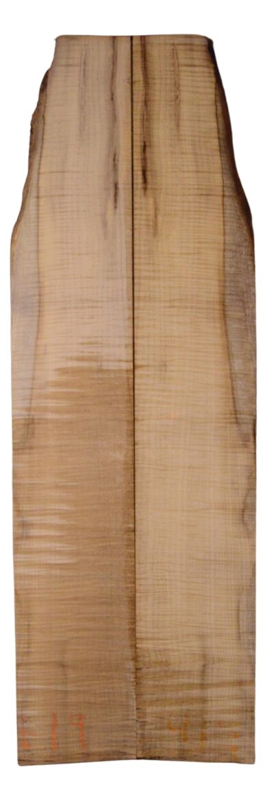 Myrtle (American) GuitarBack2pcATC L18938.G.204