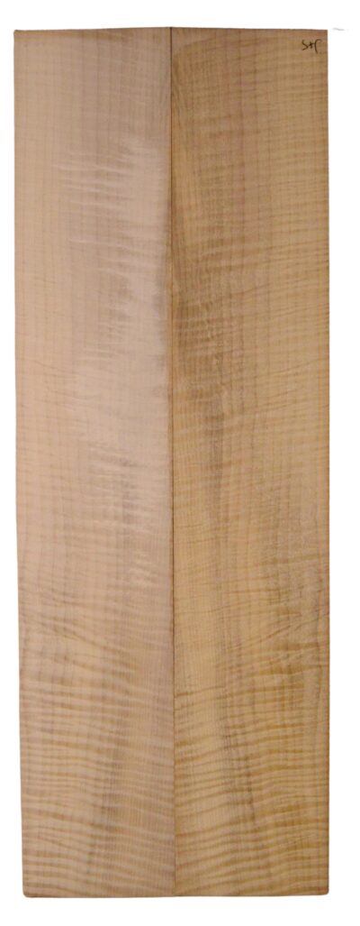 Myrtle (American) GuitarBack2pcATC L18938.G.207