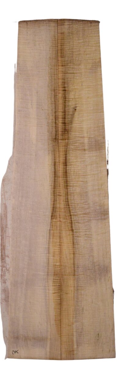 Myrtle (American) GuitarBack2pcATC L18938.G.209