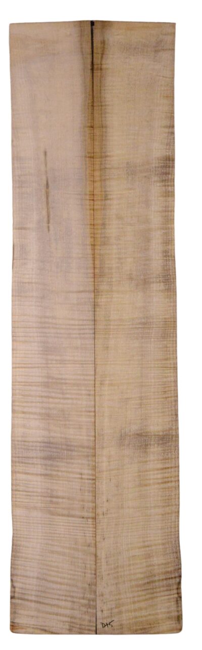 Myrtle (American) GuitarBack2pcATC L18938.G.210