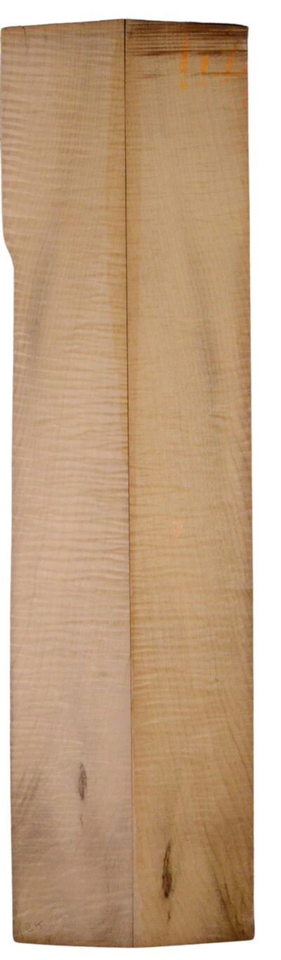 Myrtle (American) GuitarBack2pcATC L18938.G.213