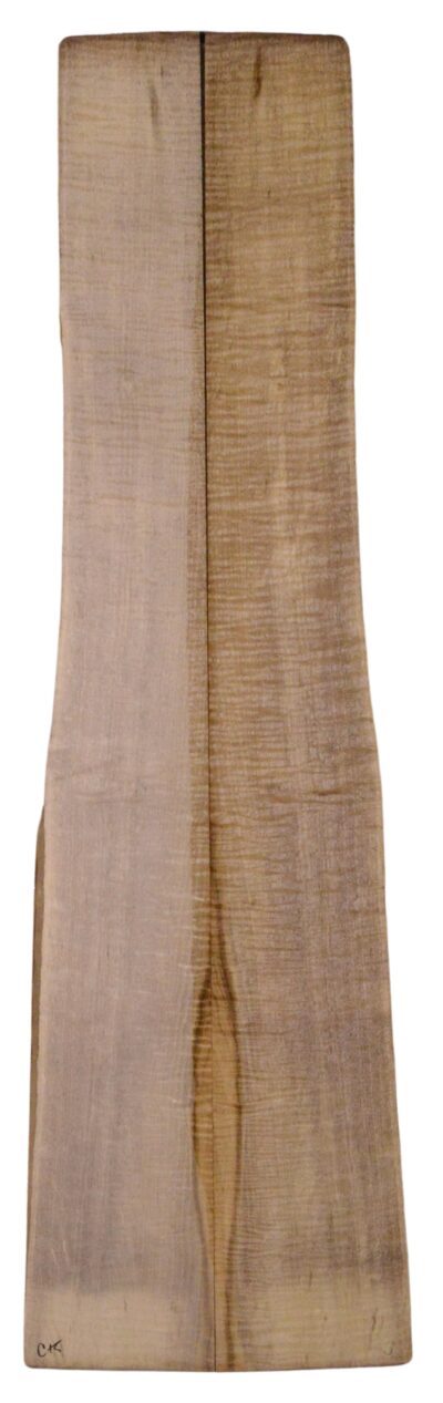Myrtle (American) GuitarBack2pcATC L18938.G.214