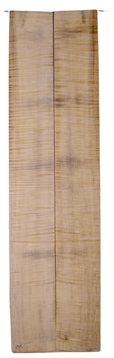 Myrtle (American) GuitarBack2pcATC L18938.G.215