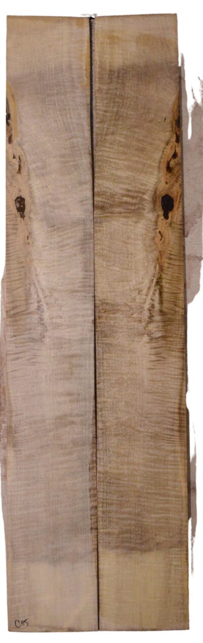 Myrtle (American) GuitarBack2pcATC L18938.G.216