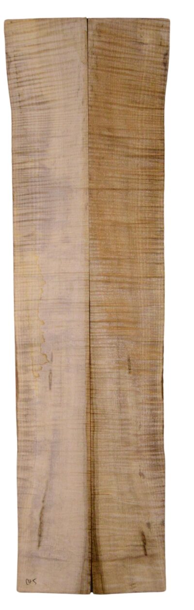 Myrtle (American) GuitarBack2pcATC L18938.G.218