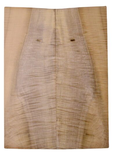 Myrtle (American) GuitarBack2pcATC L18938.G.292