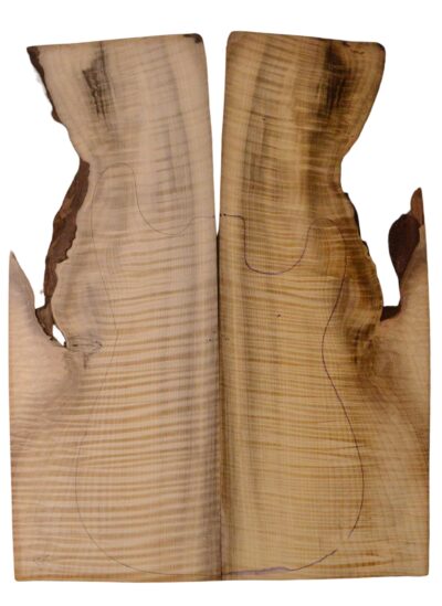 Myrtle (American) GuitarSolidBodyTopATC L18938.G.306