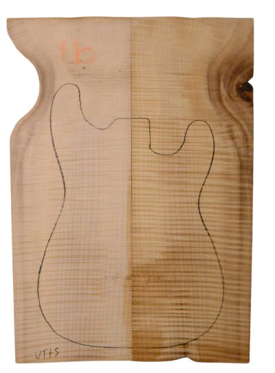 Myrtle (American) GuitarSolidBodyTopATC L18938.G.310