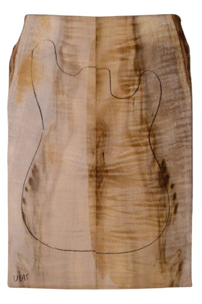 Myrtle (American) GuitarSolidBodyTopATC L18938.G.315