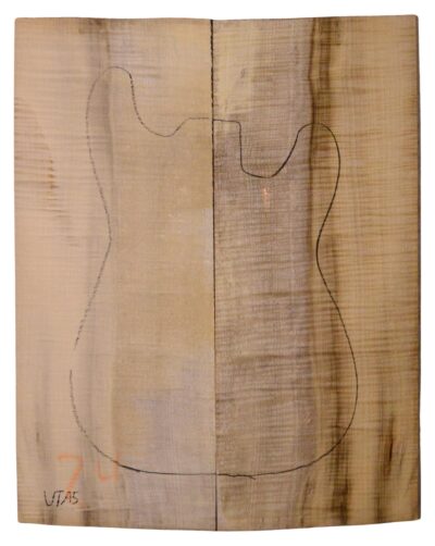 Myrtle (American) GuitarSolidBodyTopATC L18938.G.322