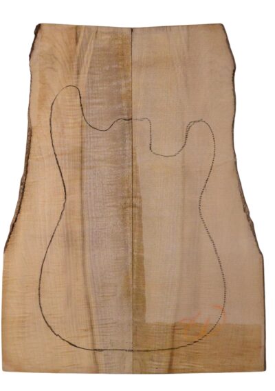 Myrtle (American) GuitarSolidBodyTopATC L18938.G.324