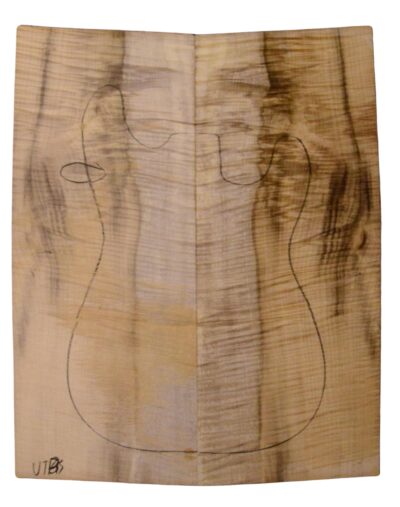 Myrtle (American) GuitarSolidBodyTopATC L18938.G.325