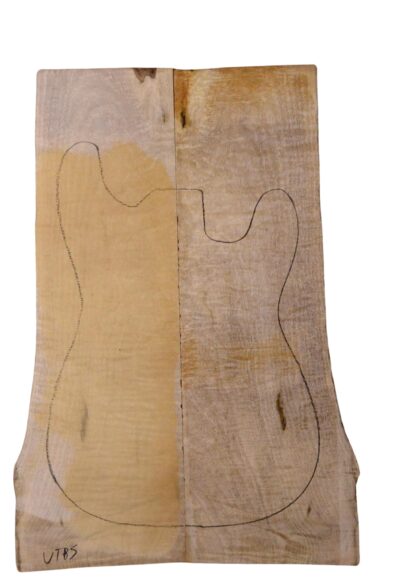 Myrtle (American) GuitarSolidBodyTopATC L18938.G.327