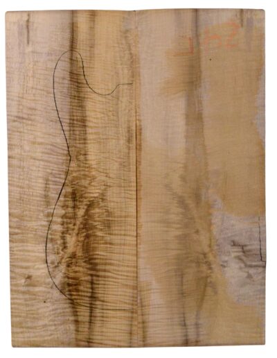 Myrtle (American) GuitarSolidBodyTopATC L18938.G.329