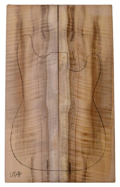 Myrtle (American) GuitarSolidBodyTopATC L18938.G.332