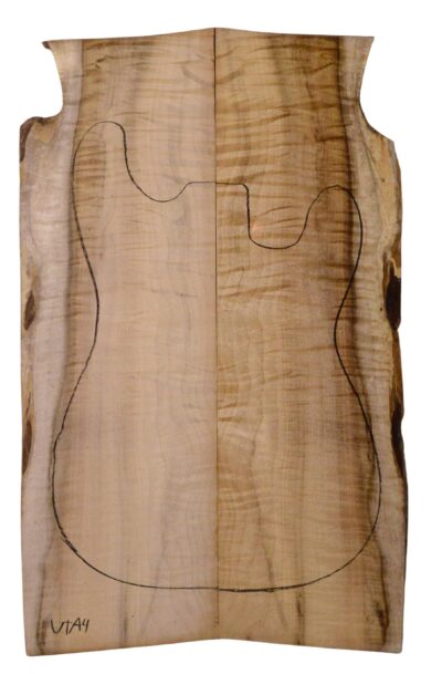 Myrtle (American) GuitarSolidBodyTopATC L18938.G.336