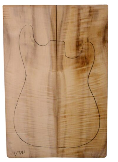 Myrtle (American) GuitarSolidBodyTopATC L18938.G.344